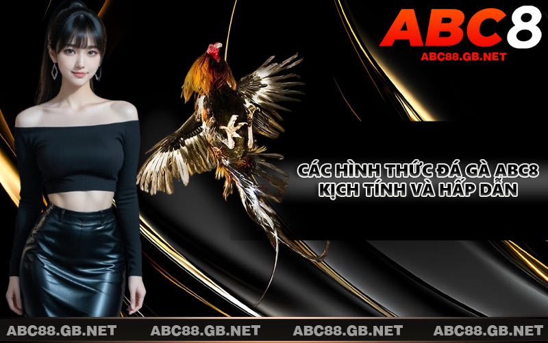 Các hình thức đá gà ABC8 kịch tính và hấp dẫn