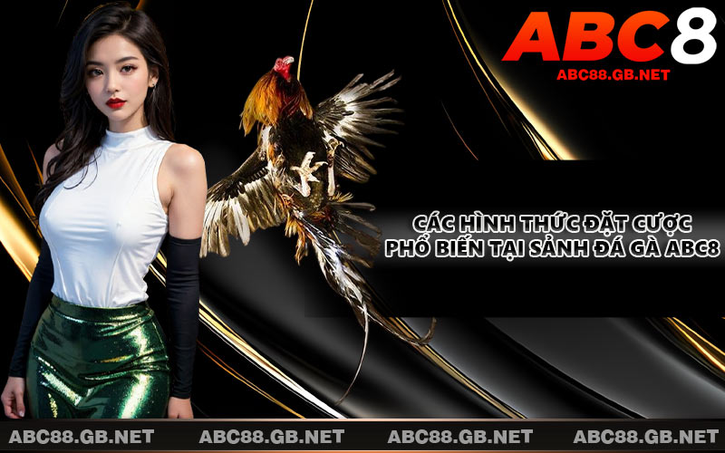 Các hình thức đặt cược phổ biến tại sảnh đá gà ABC8
