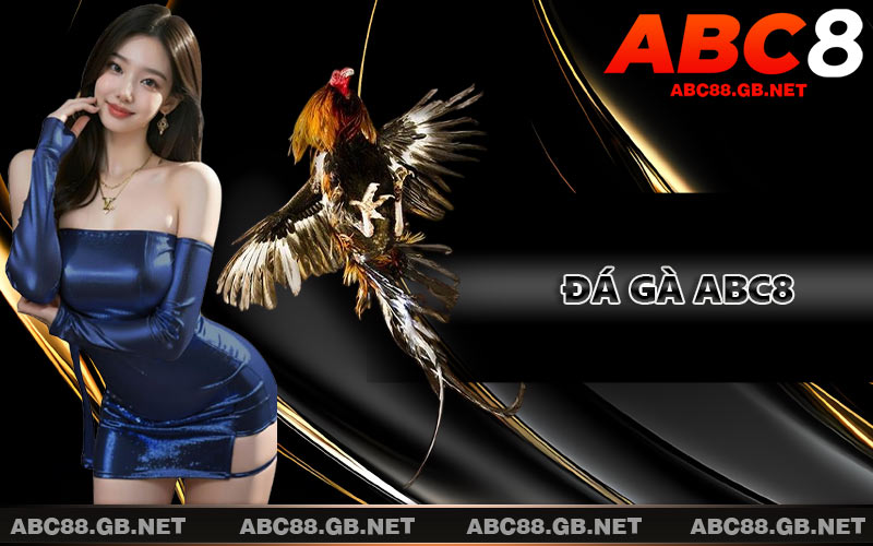 Đá Gà ABC8
